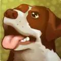 Doggo Dungeon: A Dog's Tale